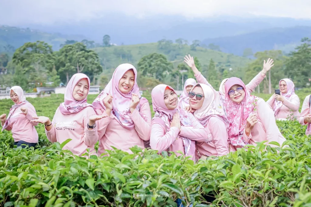 wisata kebun teh kemuning